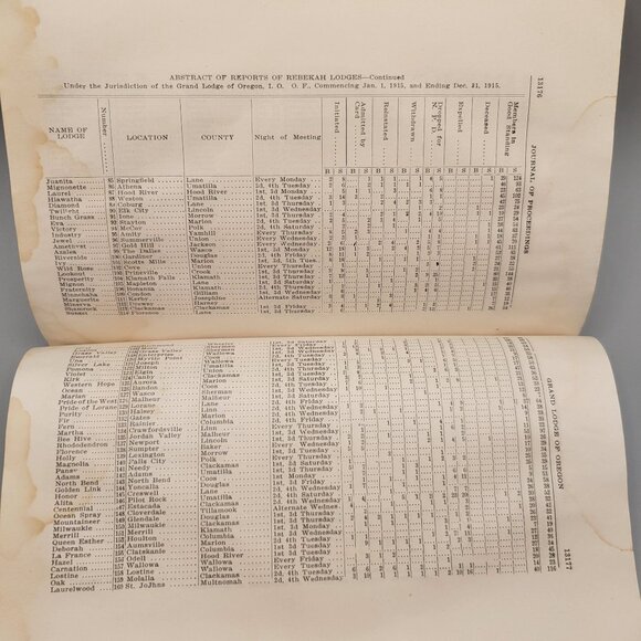 Proceedings Grand Lodge Odd Fellows IOOF May 1916 Roseburg Oregon Book - Picture 11 of 12